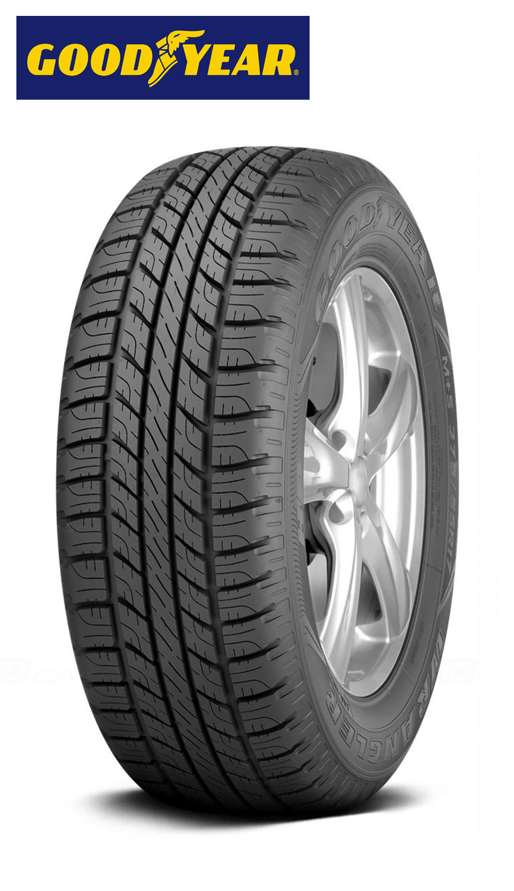 WRL HP(ALL WEATHER) FP